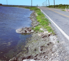 Image of Laguna Shores Road Segment
